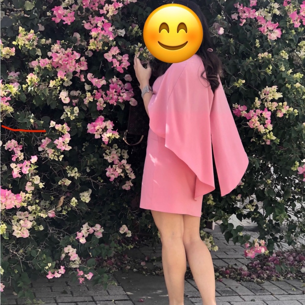 Halston Heritage Pink Cape Mini Dress